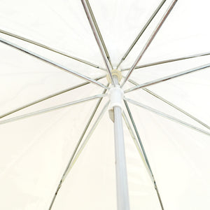 Wholesale Childrens clear dome umbrella with color trim