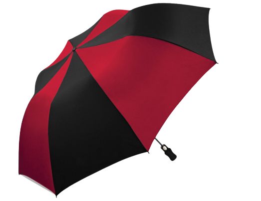 Wholesale Two Person Auto Folding Assorted Umbrella