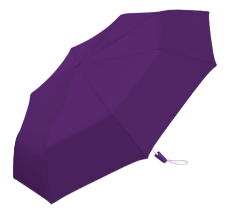 Wholesale Auto Folding Solid Assortment Economy Umbrella